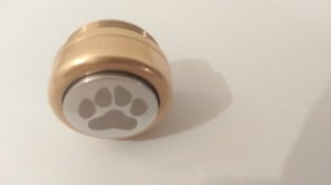 IMAG0031