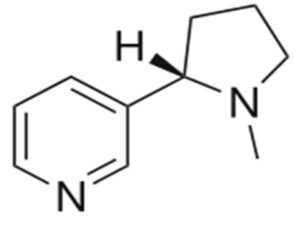 Nicotine-formule