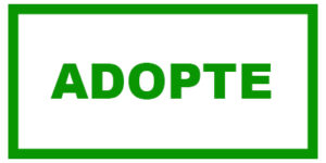 adopte