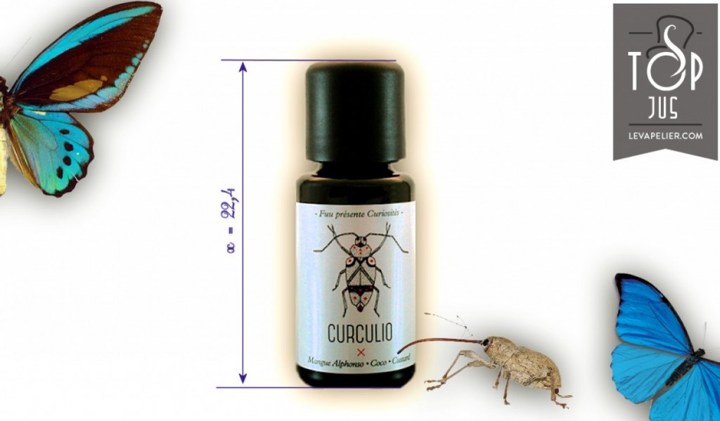 Fuu-Curculio-1243x728