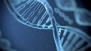 625-dna_625x350_51426167636