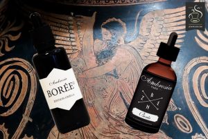 boree3-1243x833
