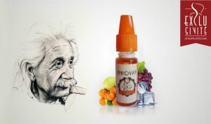 einstein_presentation-1243x728