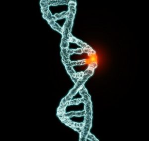 mutation_of_genes